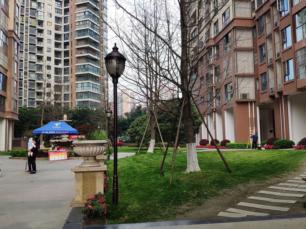 小区相关图