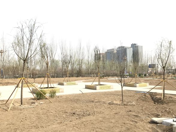 未来石实景图