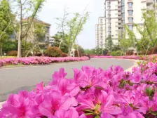 楼层好,视野宽阔,采光充足,配套设施齐全,交通便利