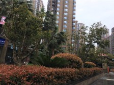 比邻珠市户型通透,采光充足,视野旷阔,交通出行便利