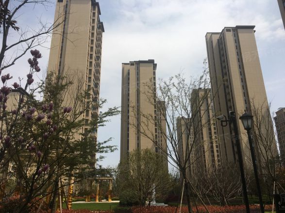 招商雍景湾（御江花苑）实景图