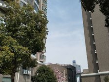 金梅雅苑2室2厅南