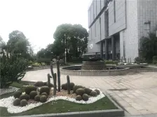 近机场,小区环境好,碧桂园小区管理