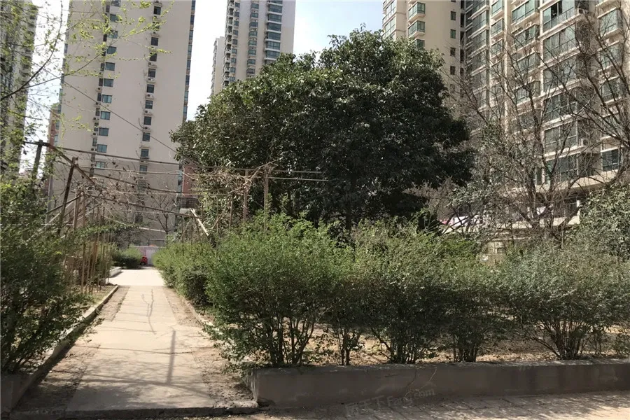 东风小区图片相册,户型图,样板间图,装修效果图,实景图-洛阳房天下