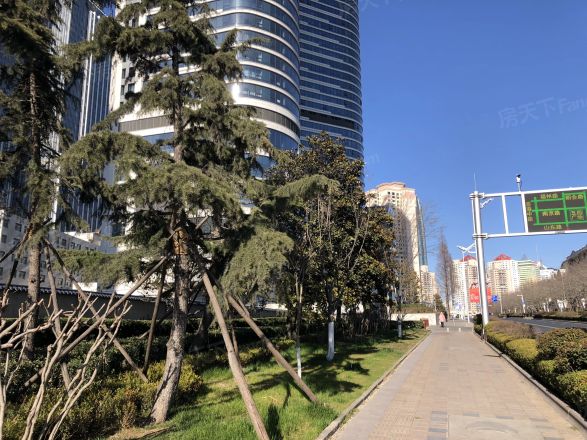 海逸天成实景图