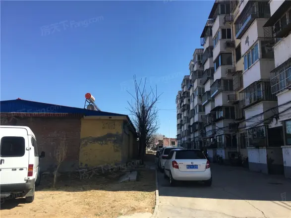 仙泽园实景图