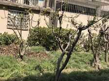 近地铁,无抵押,现场实勘刚需上车,必看好房