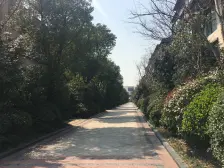 品质物业,精装,电梯房 店长力推