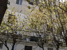 岚皋大楼 3室1厅 南