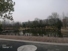 宾根花园(安勇路9弄前后双花园,上下5层满五税少,联排有电梯