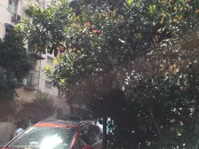 中间楼层且两间朝南精装修的两房,近地铁