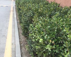 八里庄北里1号院2室1厅南