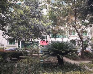 光明苑(天府新区)2室1厅南