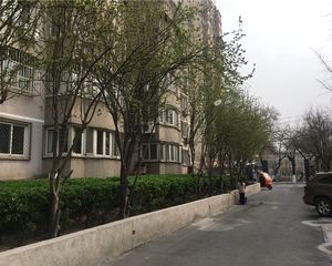 文体路乙11号院满五唯一商品房不临四环