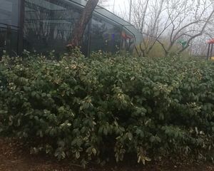 中景未山赋中国中铁开发南北三居高品质