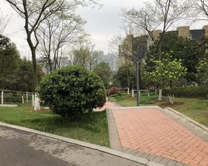 京武浪琴山双拼靠山毛坯改建1500平前后大花园