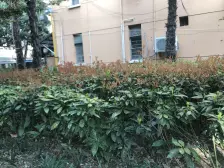 内环内地铁口小三房,采光好,西边套全明户型,非顶楼