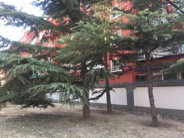 垂杨柳南里实景图
