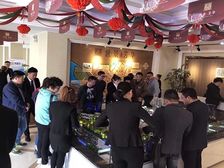 三期洋房一楼带前.后.侧三处大花园,纯实木精装