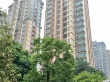 乐从雅居乐花园 满五唯一 大平层 南北对流 环境优美