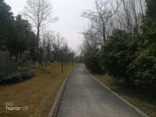 宾根花园、得房率高、采光充足、精装修、一梯两户