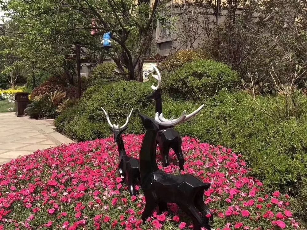 小区相关图