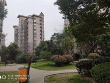 优山美地 独栋 现代化装修 一花一世界,一墅唯梦想