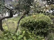 南北通小两房,拎包入住,采光无遮挡,通风效果好!