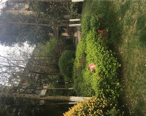 家益锦华苑4室2厅西南