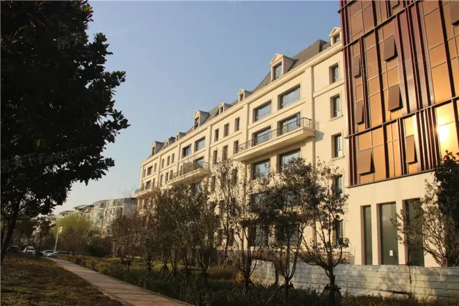 中力龙湾公馆实景图
