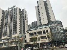龙湖金楠天街1室0厅东