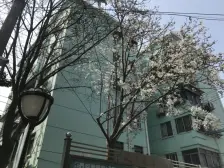 满五年维一 全明格局 窗户都是对外 通风好 精装修