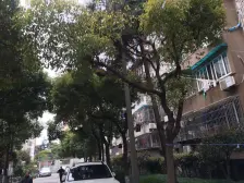 江湾 · 奎照路790弄 · 1室 · 1厅