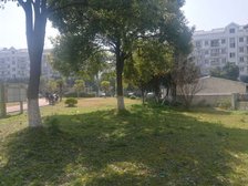 11号线上海赛车场旁边,大户型低首付交通便宜随时看房