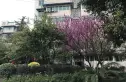 光华里实景图