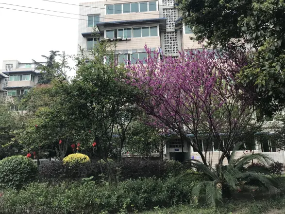 光华里实景图