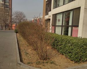 海淀西四环雪芳里小区南北通透三居室