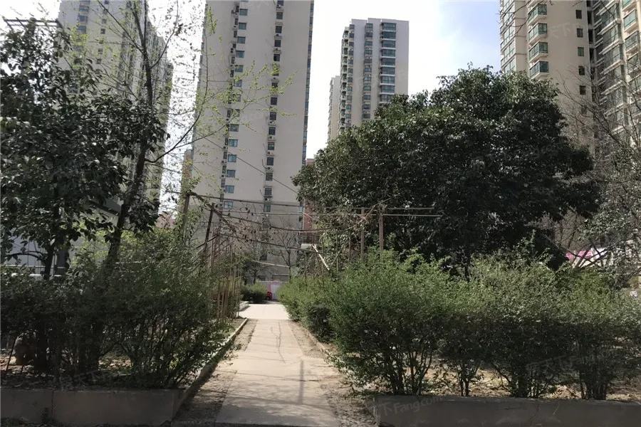 东风小区图片相册,户型图,样板间图,装修效果图,实景图-洛阳房天下