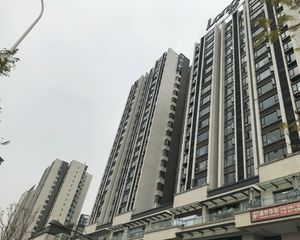 龙湖金楠天街3室1厅西南