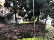 密二小区 2室1厅 南 北