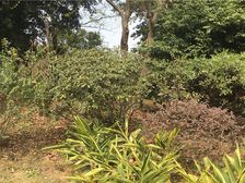 保利康桥 3室2厅 东