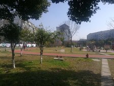 安亭·泰东公寓·3室·2厅