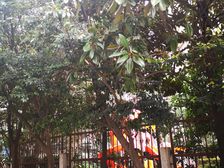 鲁迅公园 · 机施大楼 · 1室 · 1厅