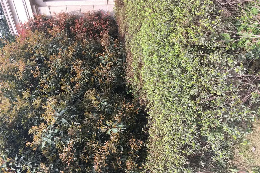 小区相关图