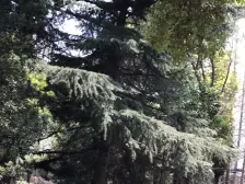 管弄一二街坊 2室1厅 东南