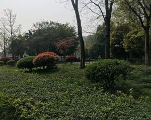 欧郡3室1厅东南
