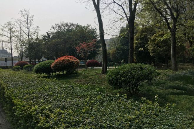 金强欧郡实景图