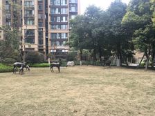 蓝光coco国际一期 3室2厅 南 东南