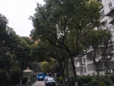 江湾·奎照路790弄·2室·1厅