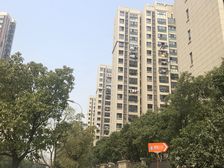 电梯房,产权清晰中间楼层必看好房